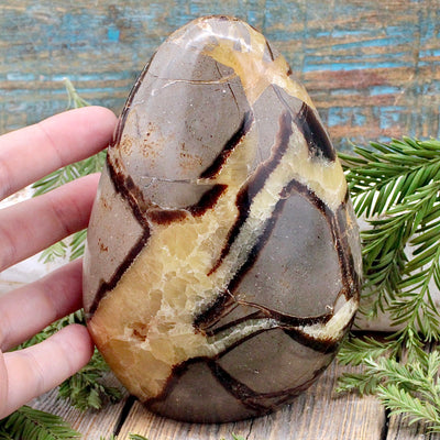 Septarian Freeform