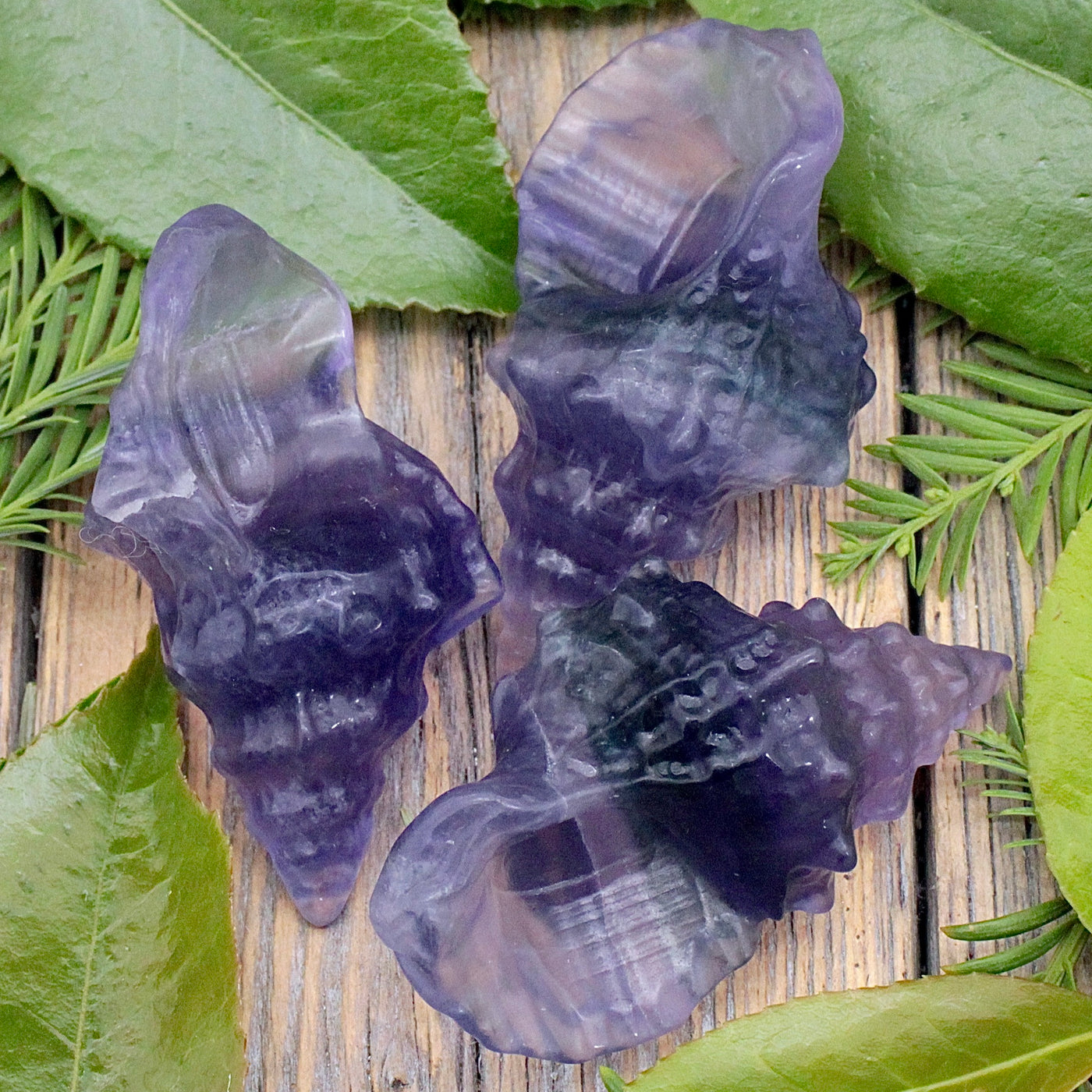 Fluorite Shell