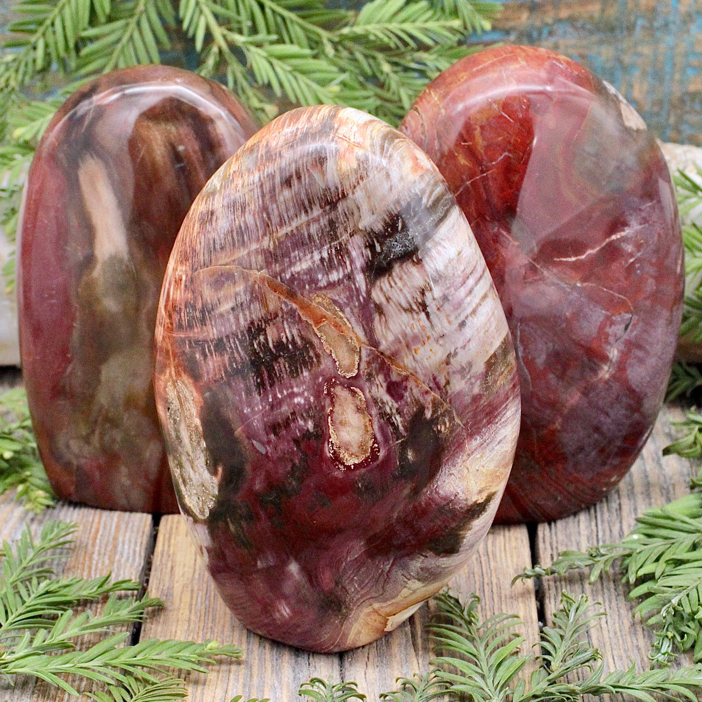 Petrified Wood Freeform