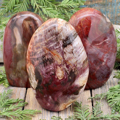 Petrified Wood Freeform