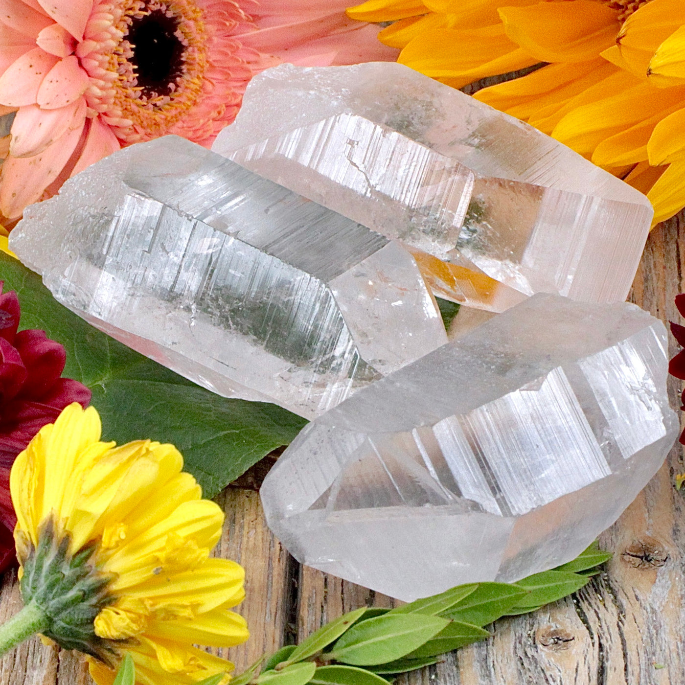 Lemurian Quartz Point