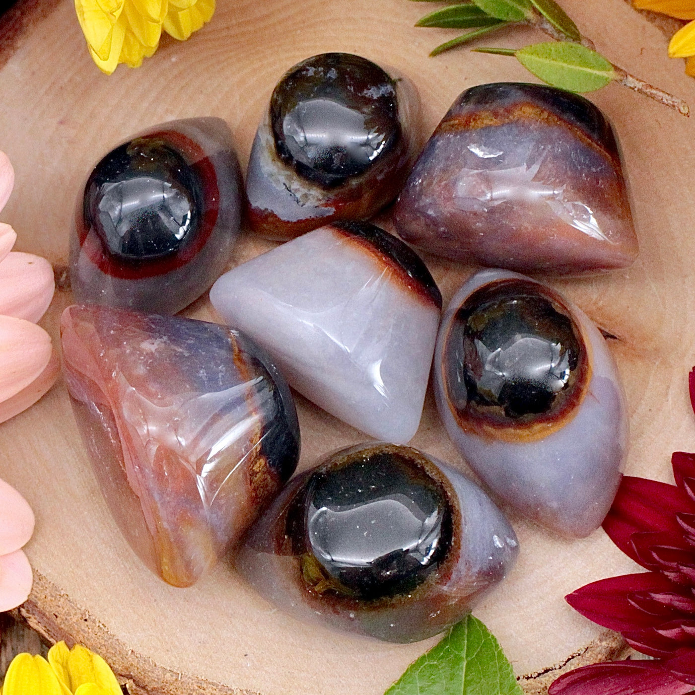 Agate Eye of Shiva