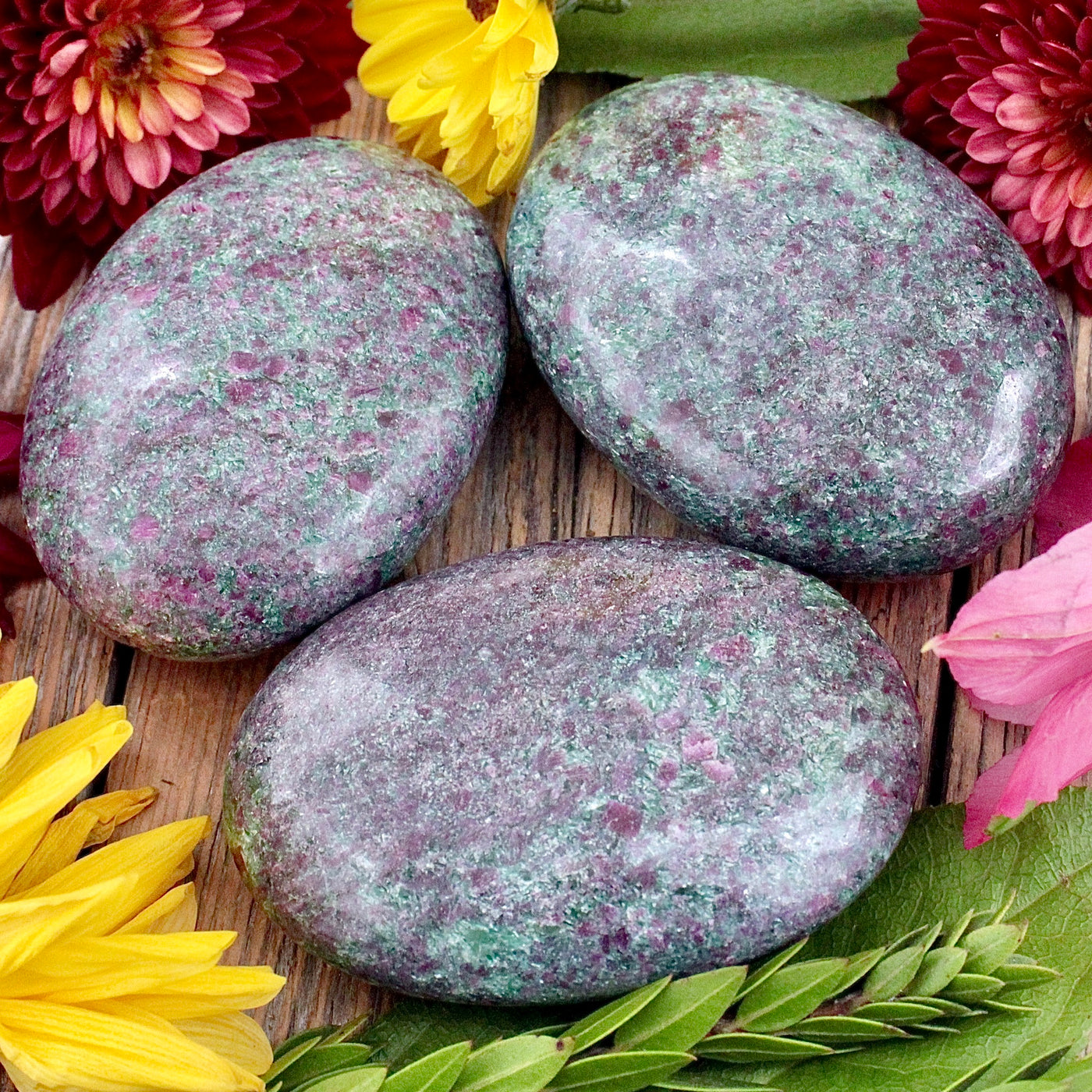 Ruby in Fuchsite Palm Stone