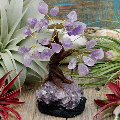 Amethyst Crystal Tree with Amethyst Cluster Base