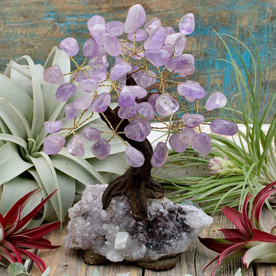 Amethyst Crystal Tree with Amethyst Cluster Base