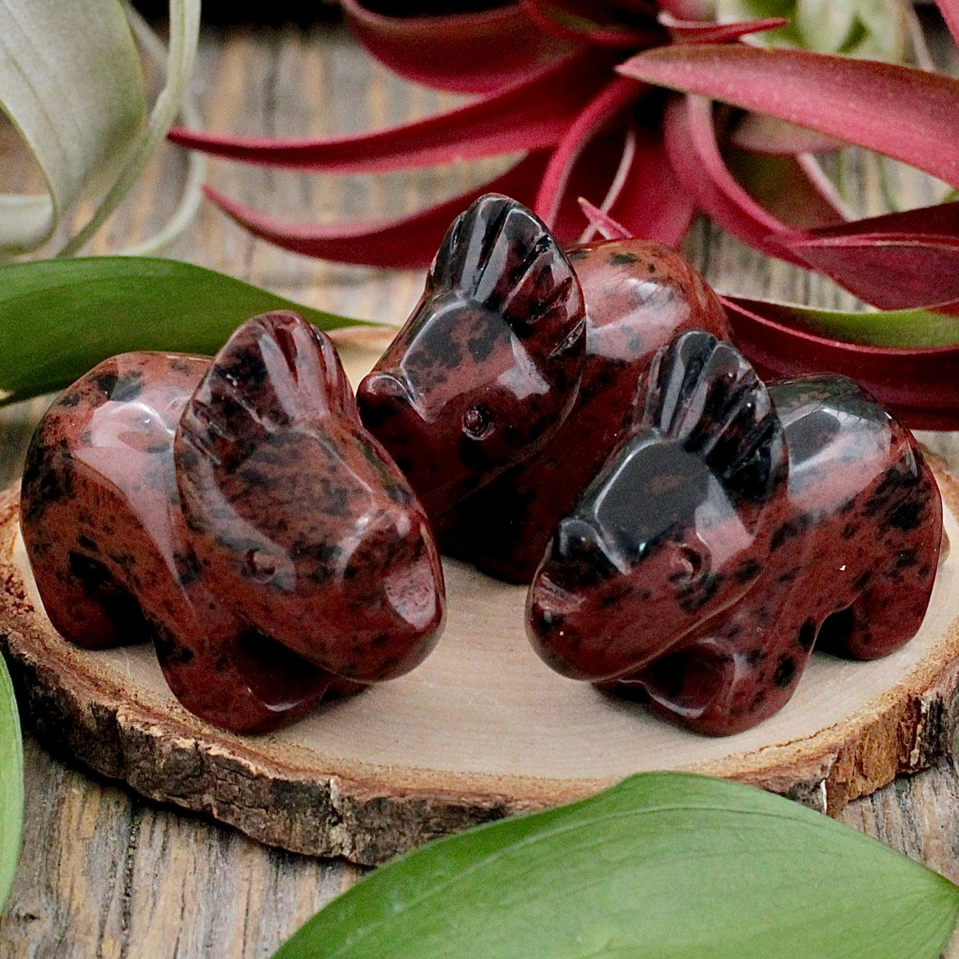 Mahogany Obsidian Triceratops