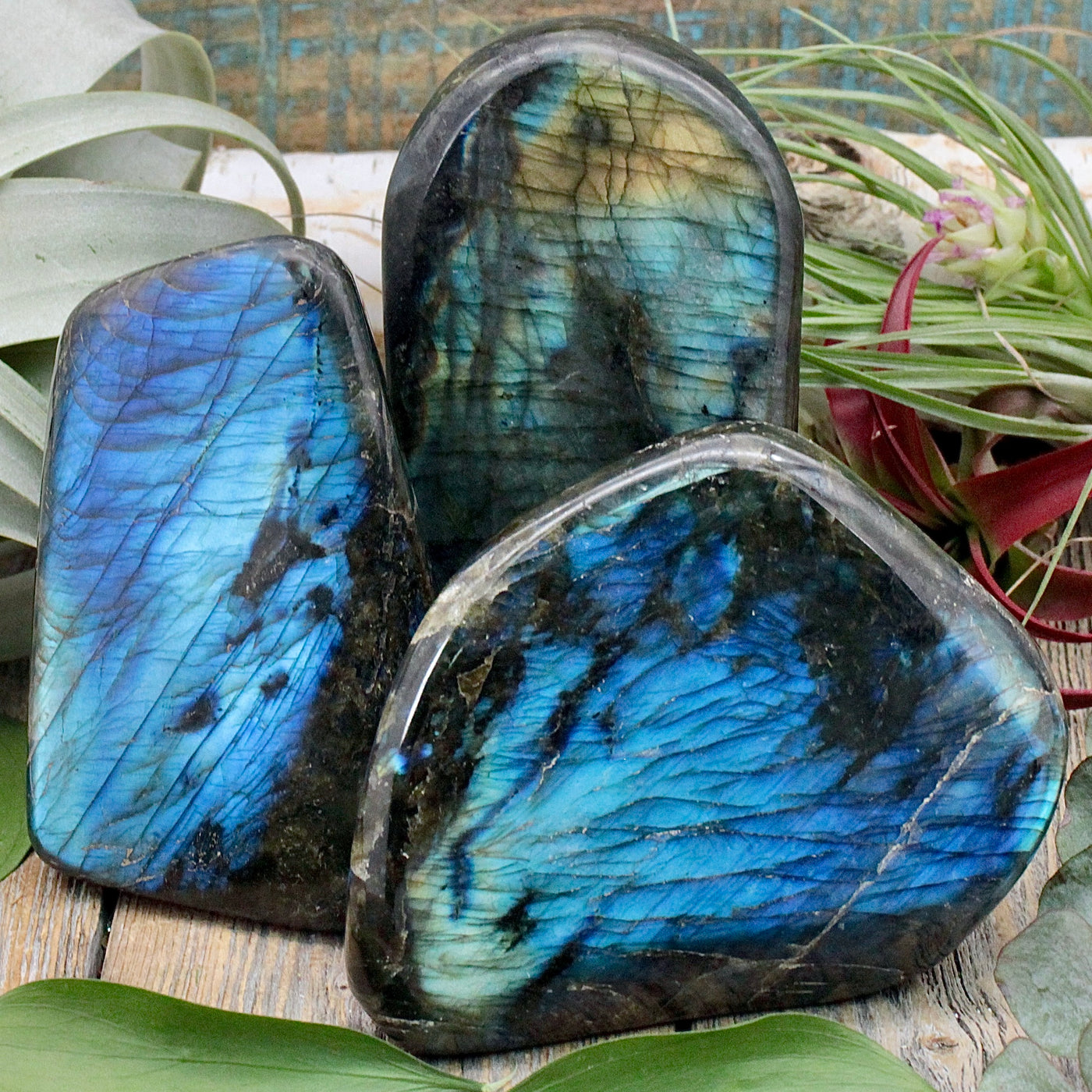 Labradorite Freeform