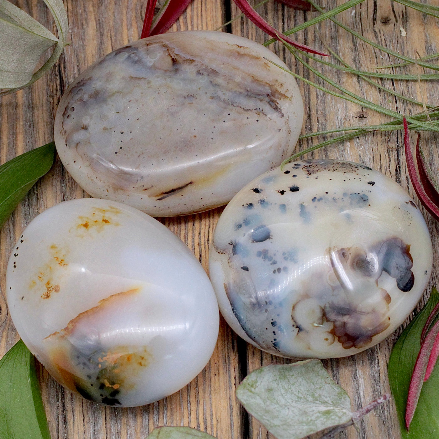 Agate Palm Stone