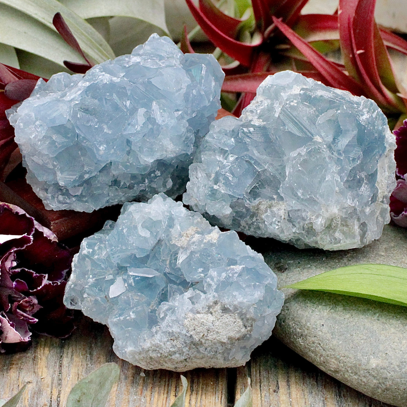 Celestite Cluster