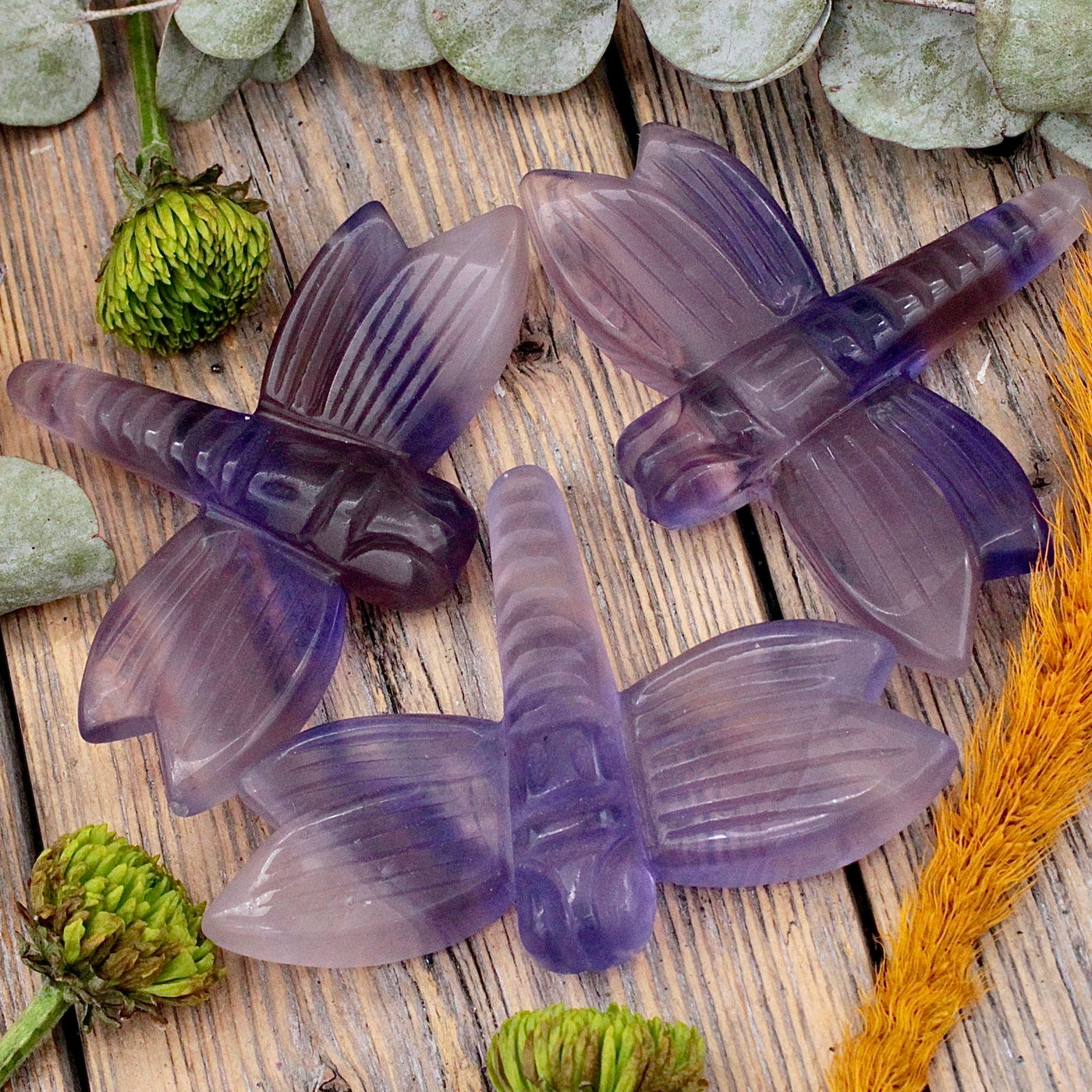 Fluorite Dragonfly