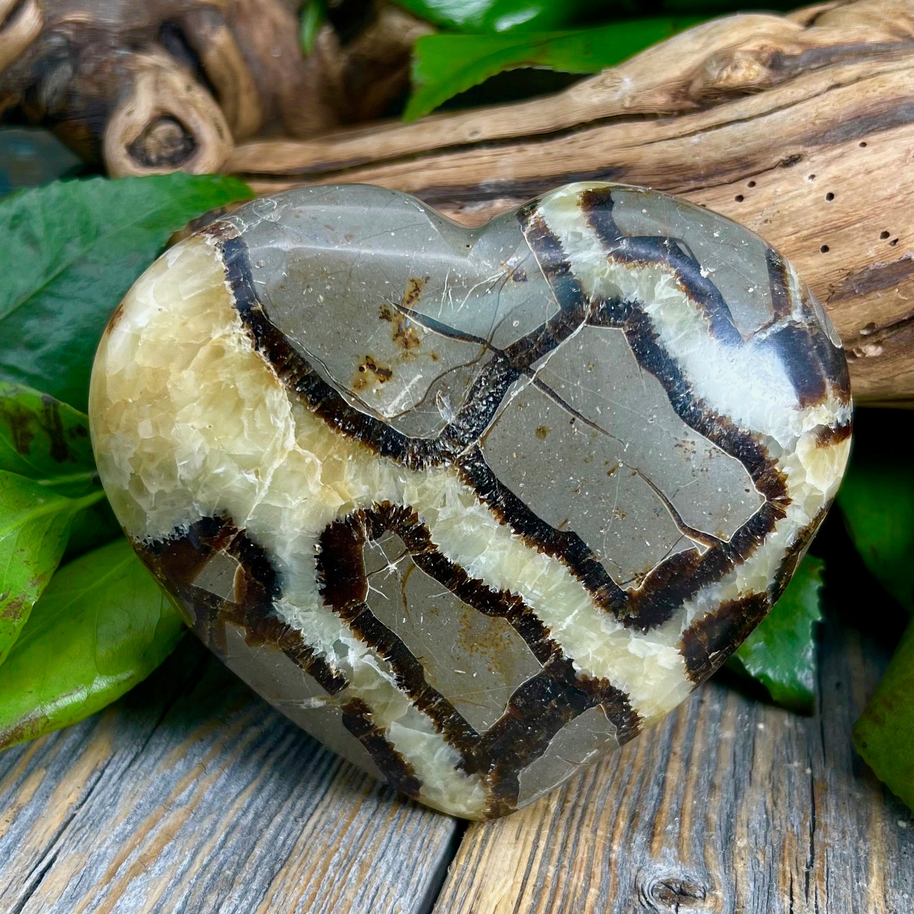 Septarian heart