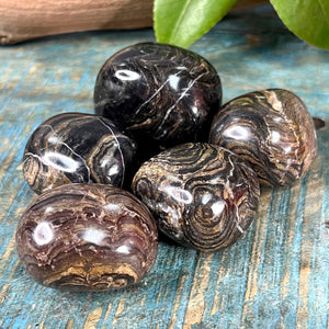 Stromatolite stones