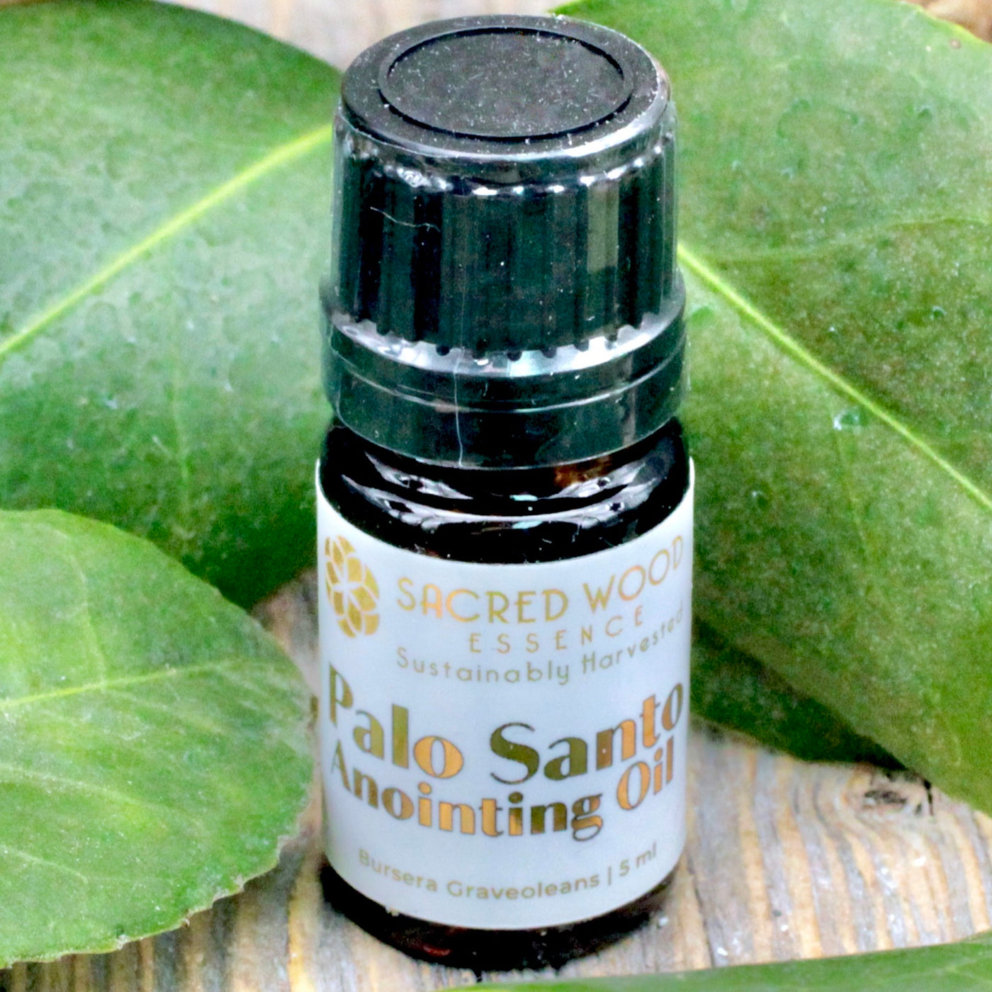 Sacred Wood Essence Palo Santo Anointing Oil