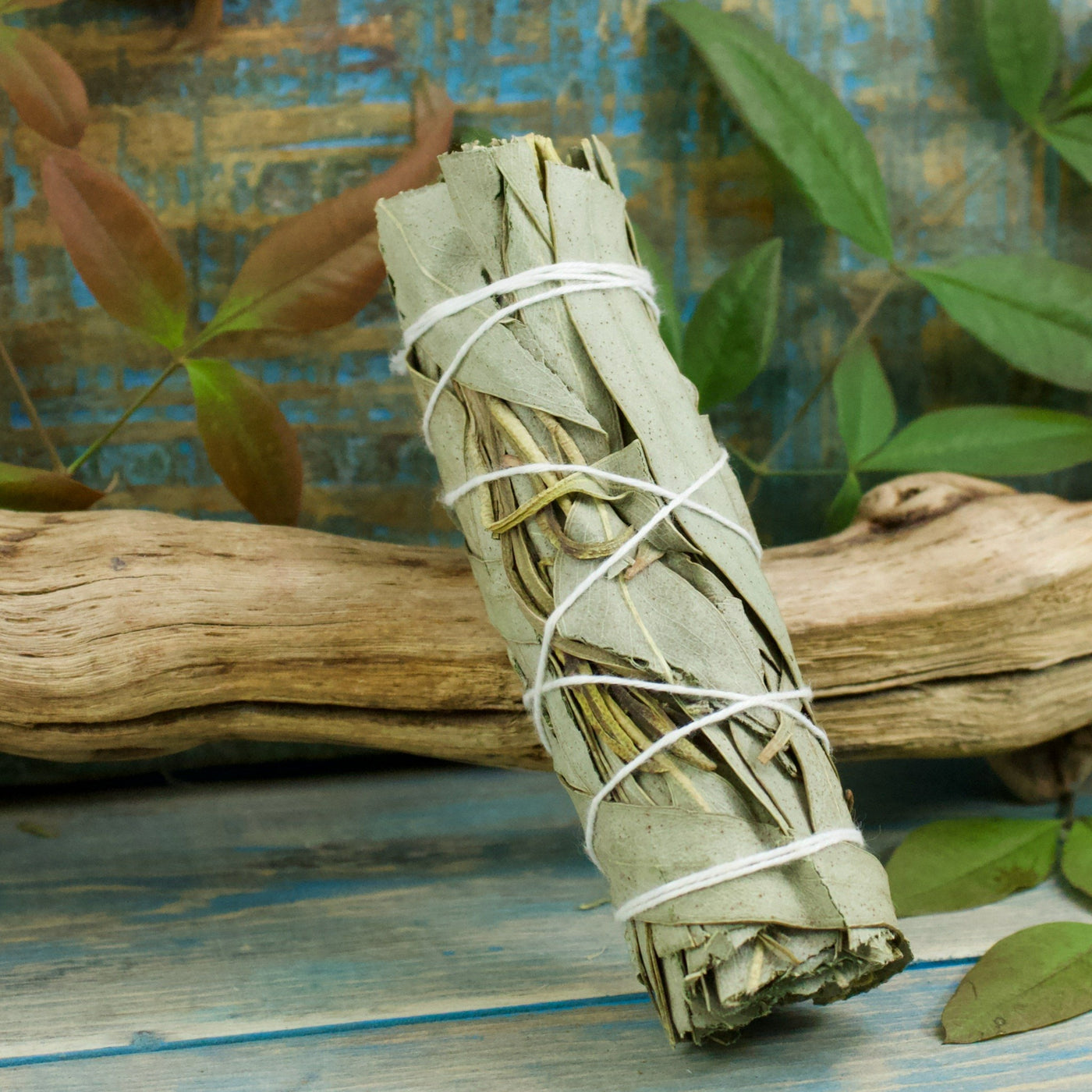 Eucalyptus Smoke Cleansing Wand