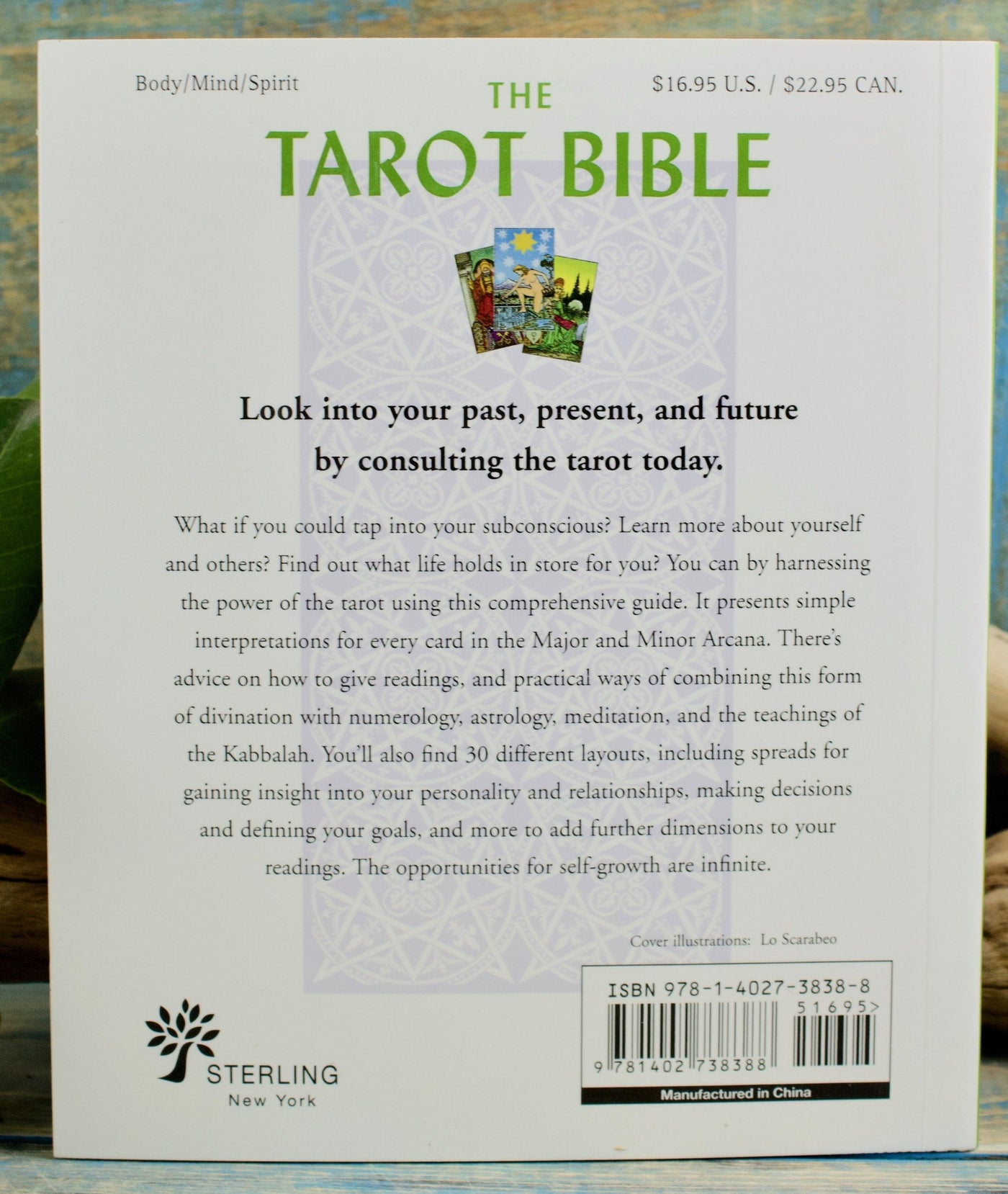 The Tarot Bible: The Definitive Guide to the Cards and Spreads