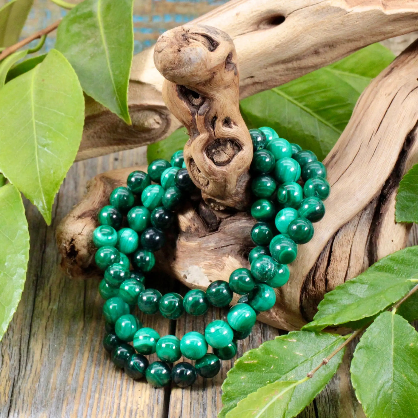 8mm Malachite Bracelet