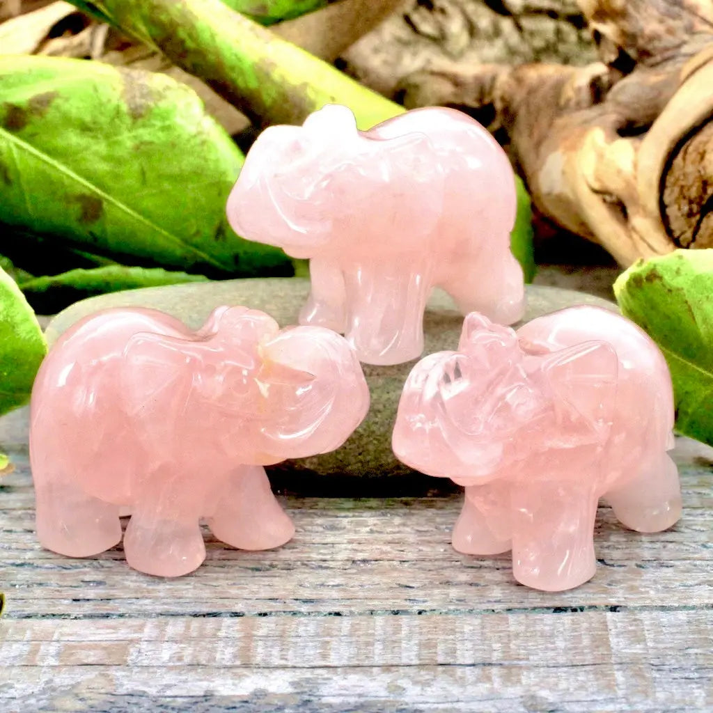 Elephant Carving