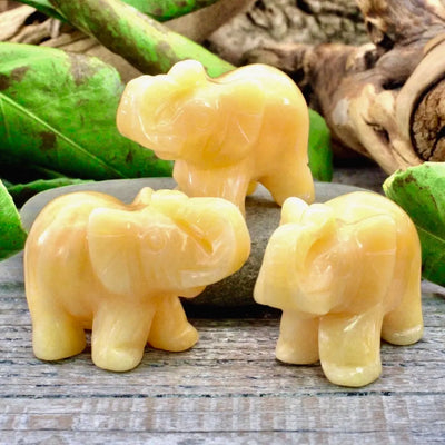 Elephant Carving