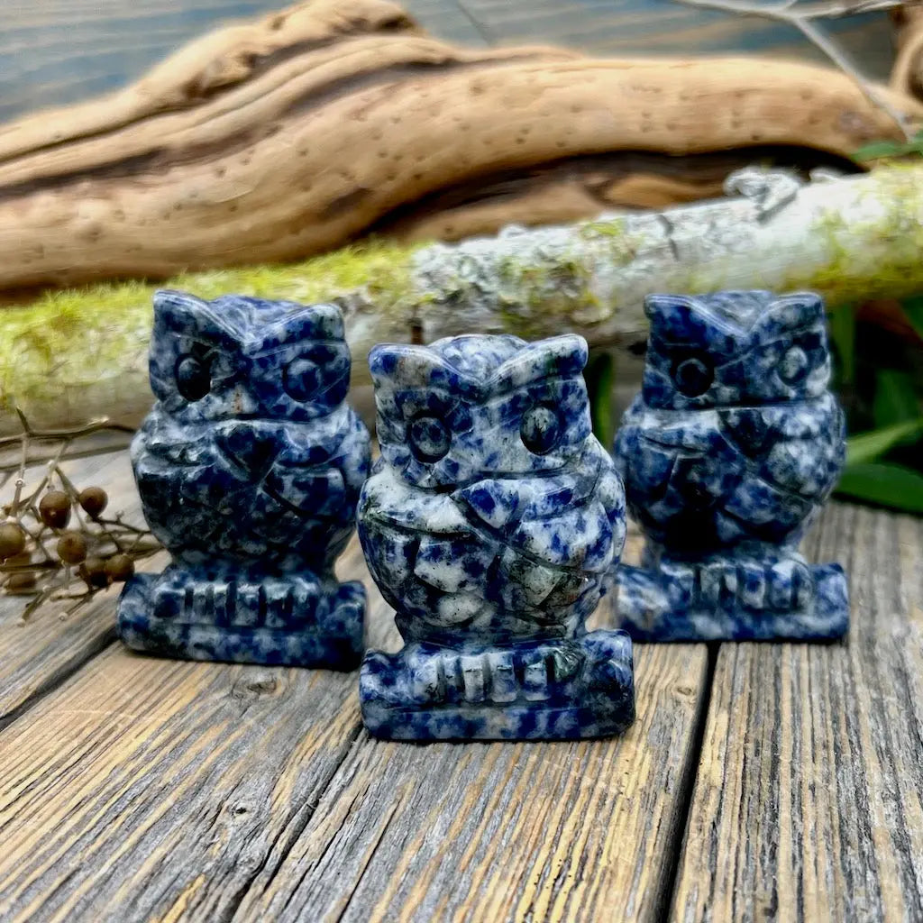 Sodalite Owl