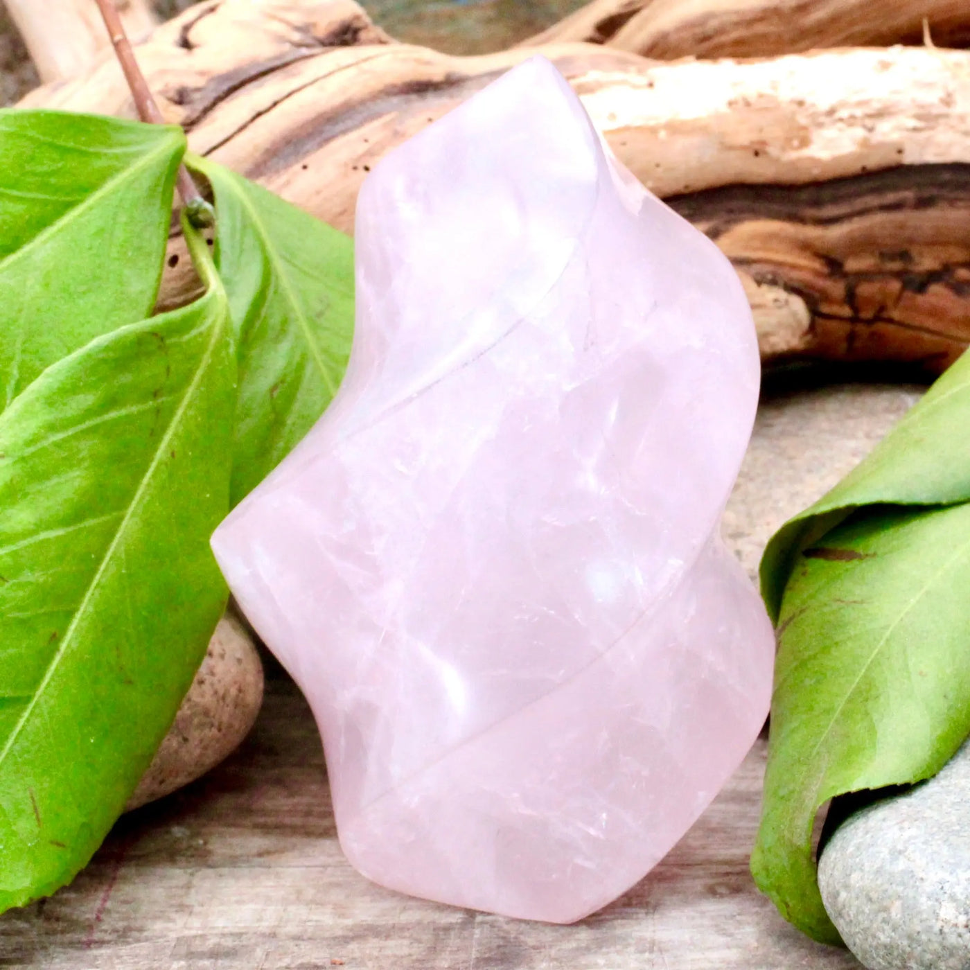 Rose Quartz Flame- Offering #1