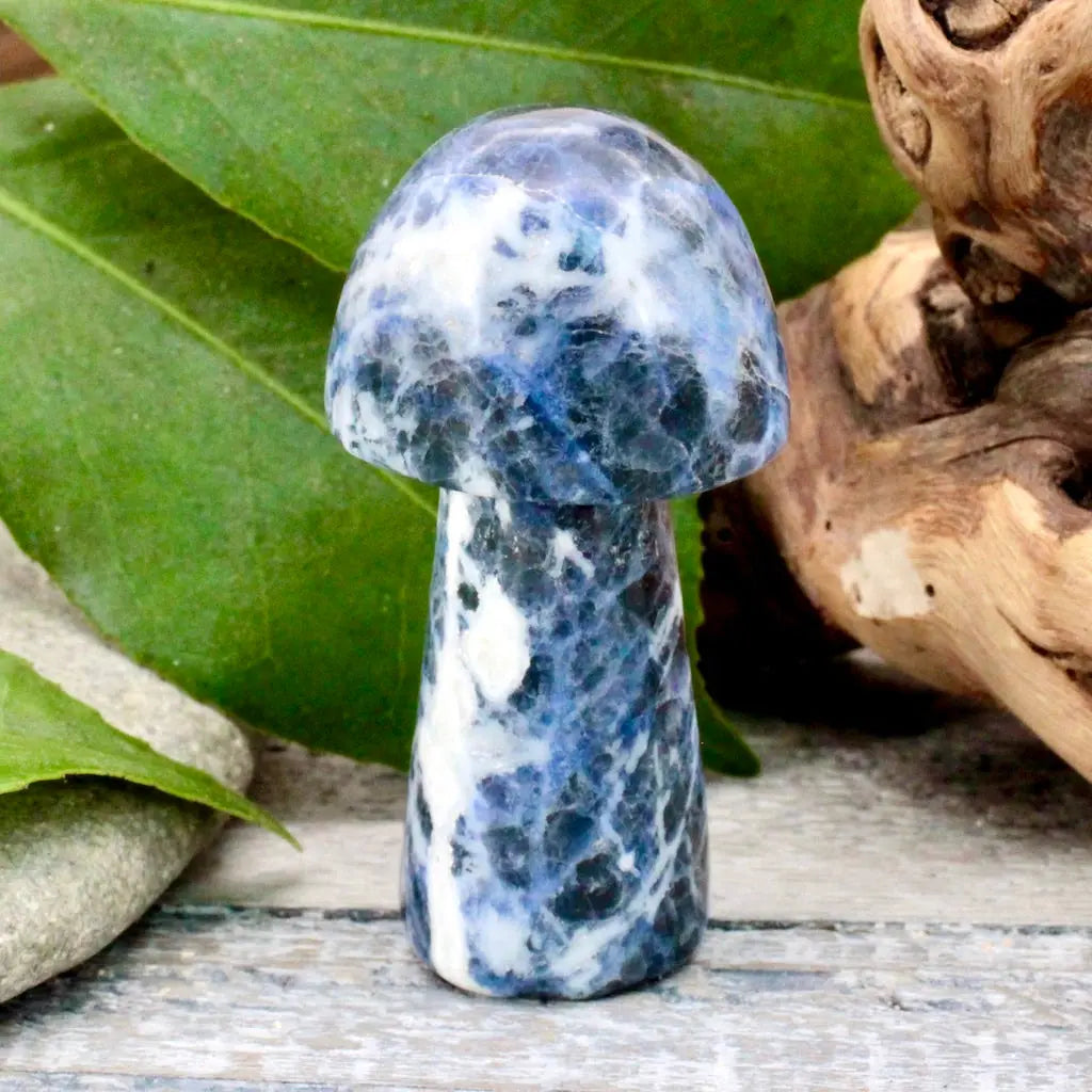 Sodalite Mushroom