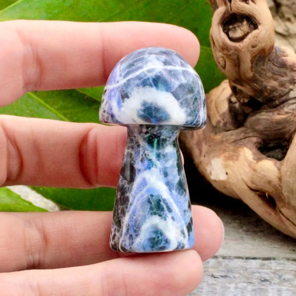 Sodalite Mushroom