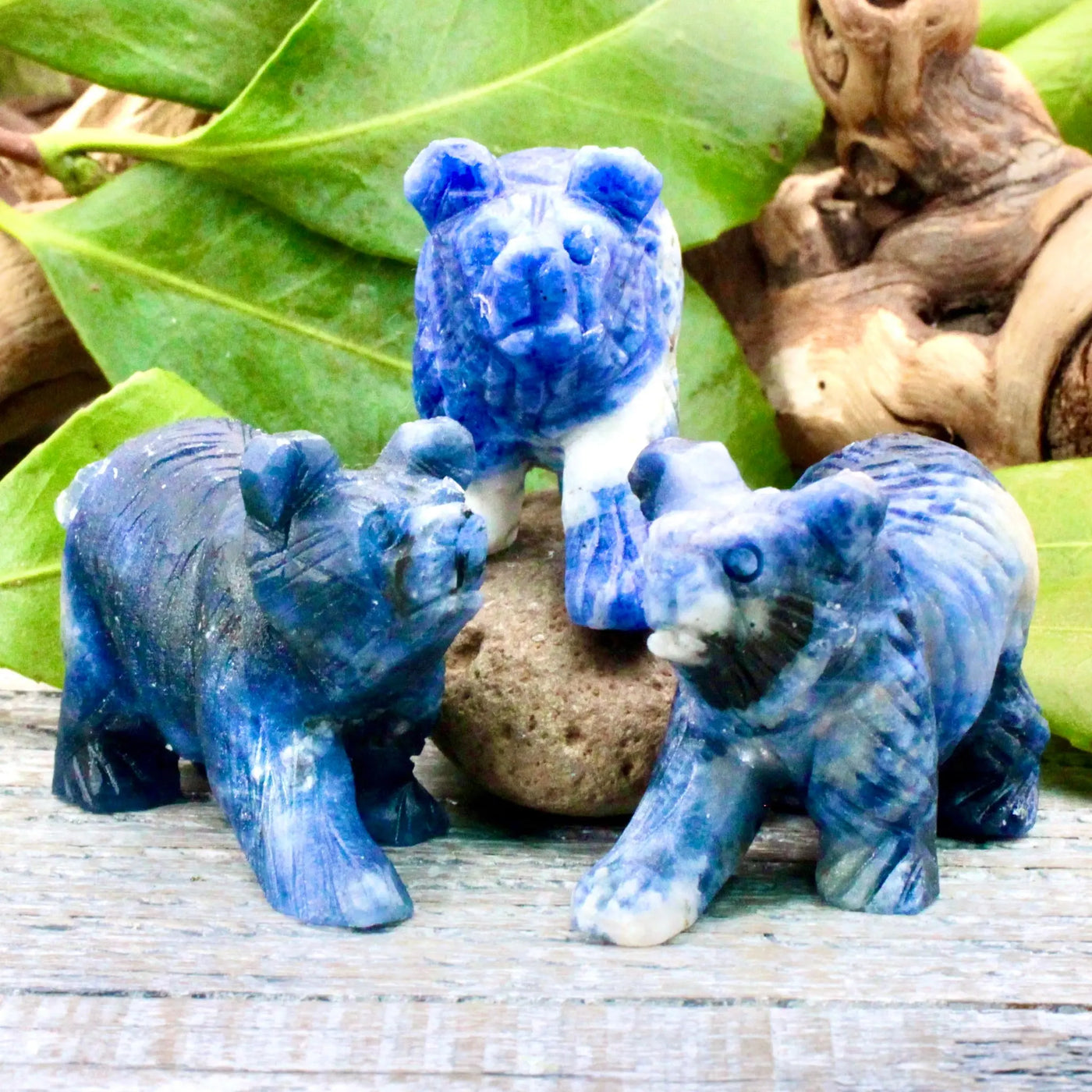 Sodalite Bear