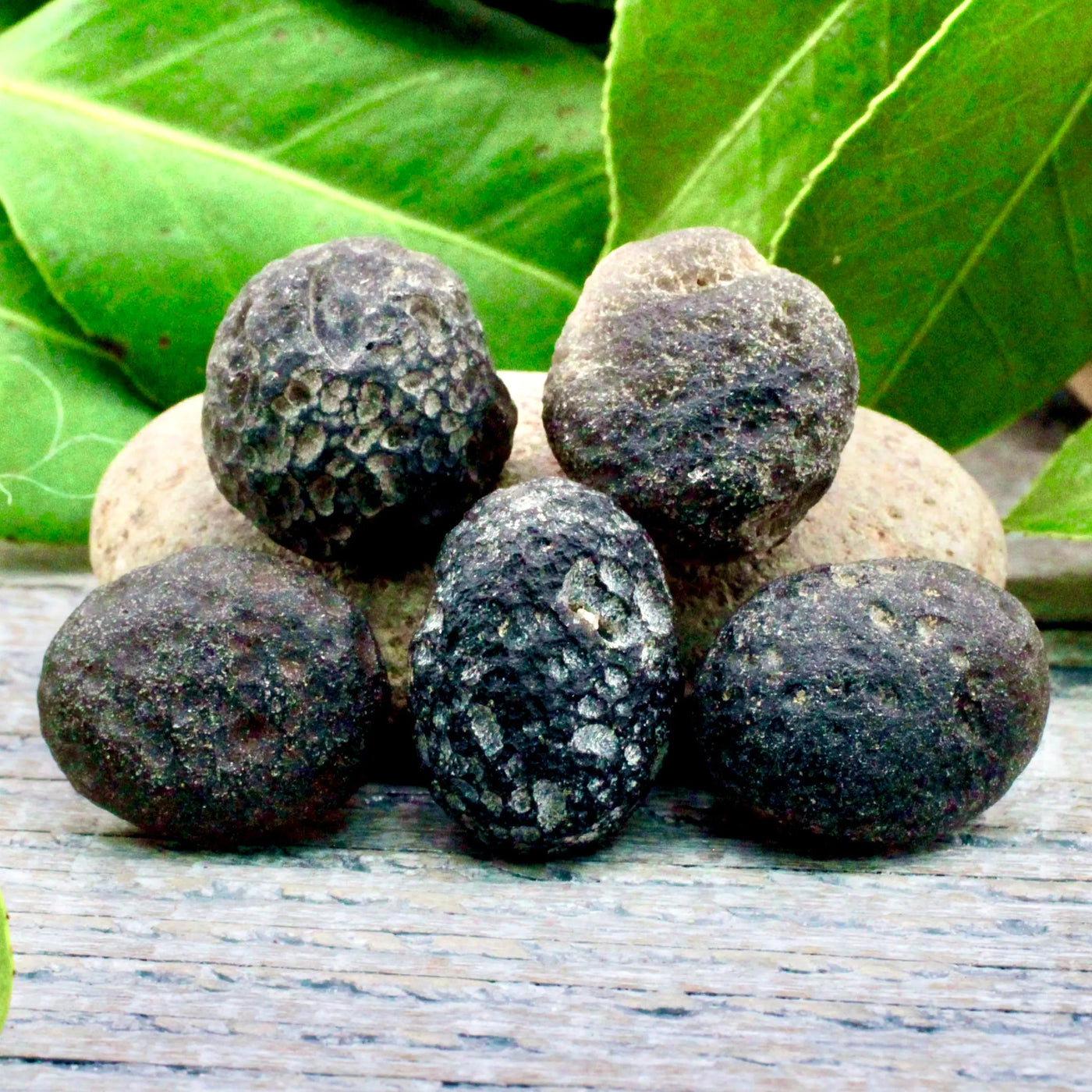 Colombianite Tektite Specimen