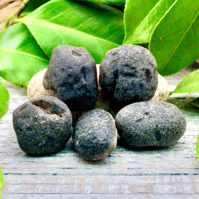 Colombianite Tektite Specimen