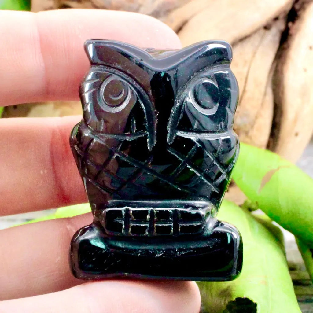 Obsidian Owl