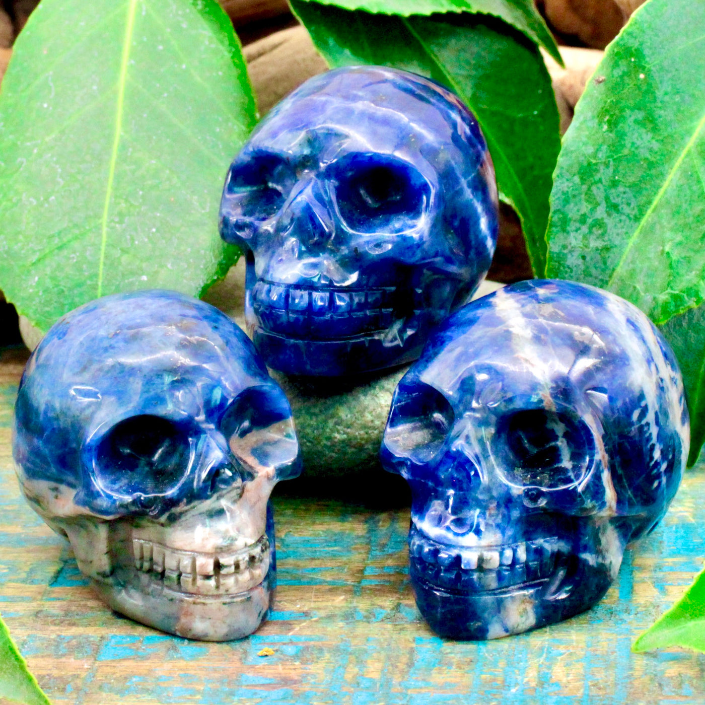 Sodalite Skull