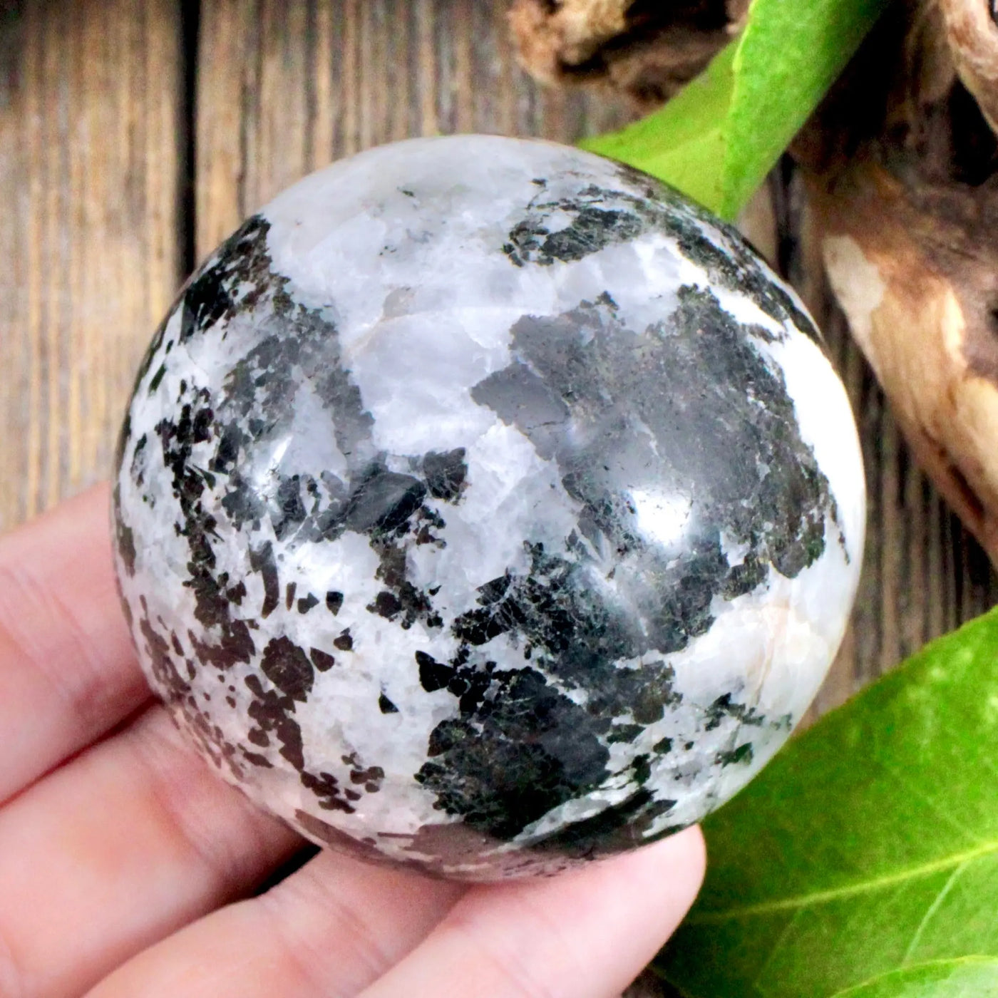 Quartz with Tourmaline Sphere