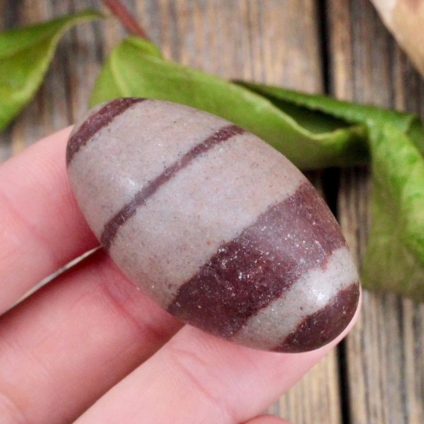 Shiva Lingam - Small