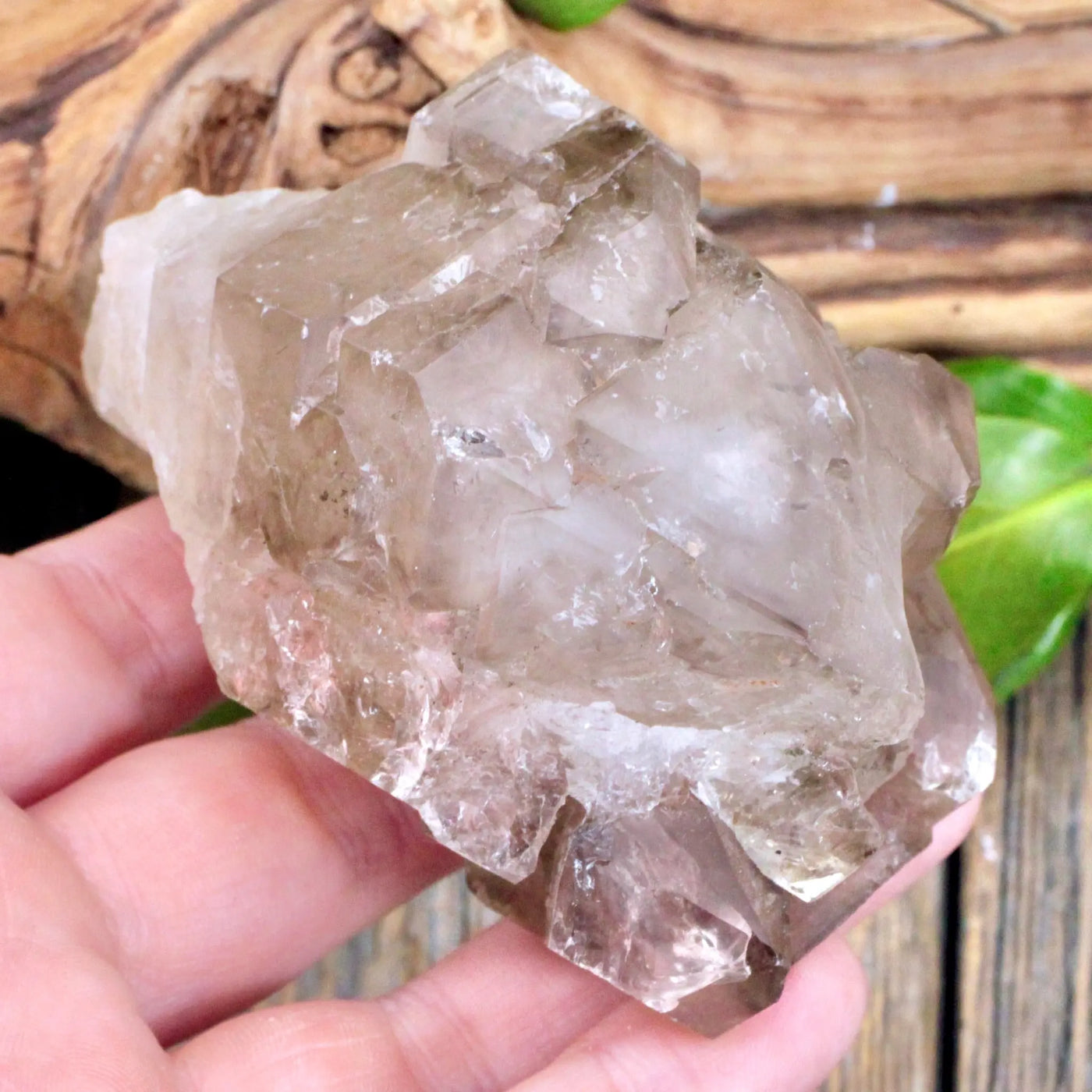 Smoky Quartz Cluster