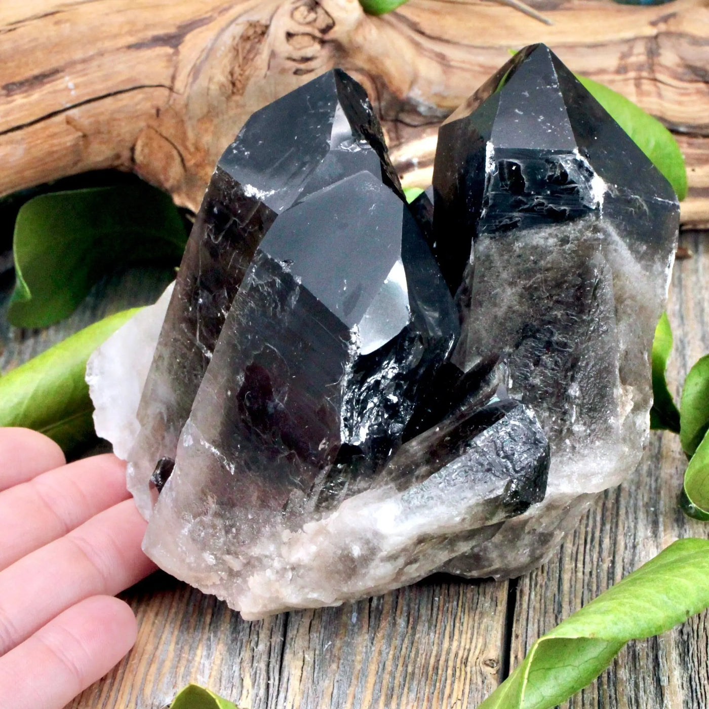 Smoky Quartz Cluster