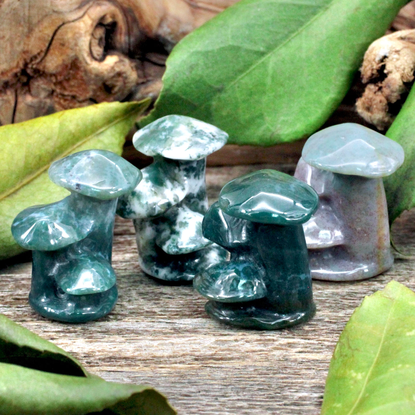 Moss Agate Mushroom Cluster